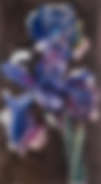 Dutch Iris 2 (preview)