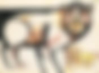 Lion and cub. Study of head and riders (preview)