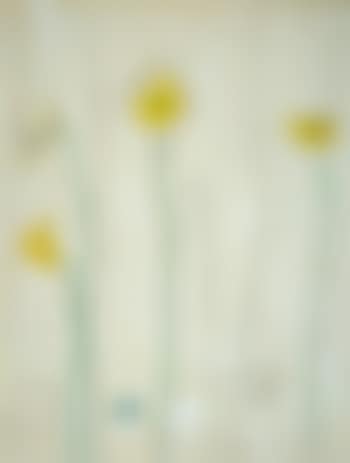 Poppies (preview)