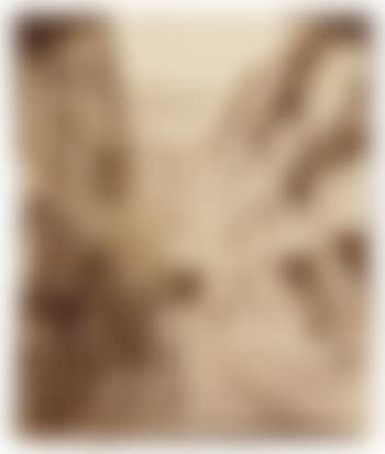 Cour du Dragon (preview)