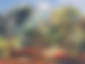 Tropische tuin (preview)