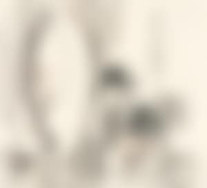 Woman in front of a mirror (preview)