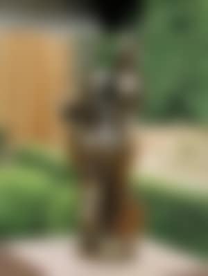 La fiancée de Casals (preview)