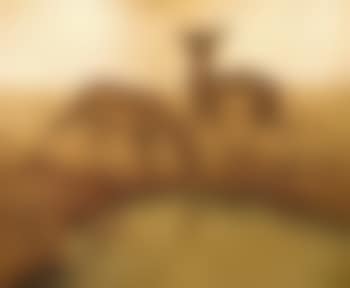 Biches au bord de l'étang (preview)