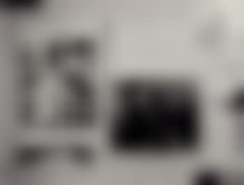 Untitled (June Leaf) (preview)