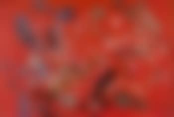 Flowers on a red background (preview)
