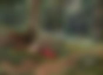 Descanso en el bosque (preview)
