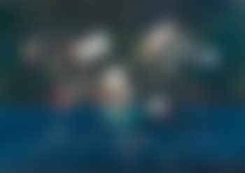 Bouquet de fleurs (preview)