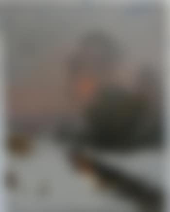Paysage au coucher du soleil (preview)