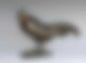 Coq endormi (preview)