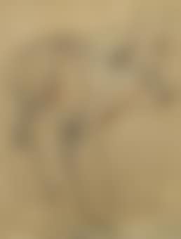 Un taureau (preview)