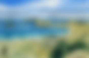 Opito Bay, Coromandel (preview)