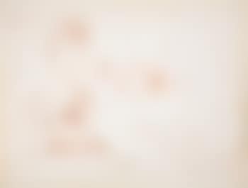 Study for the Portrait of Mrs. Jack Warner (preview)