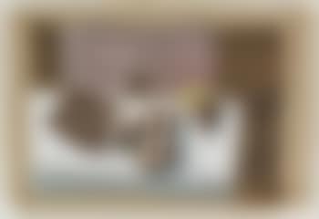 Untitled (Arizona still life) (ID#3866) (preview)