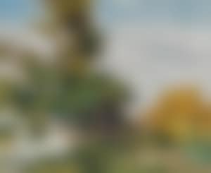 Tree on a hillside (preview)
