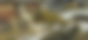 Altschnee vor bauernhof (preview)