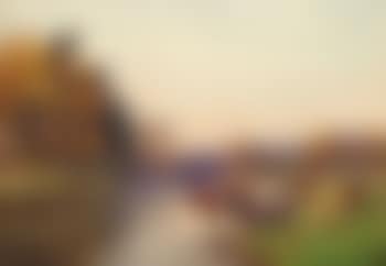 Cattle by a riverbank (preview)