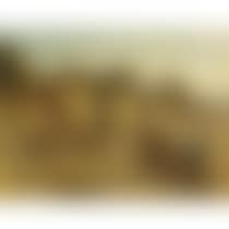 Les Glaneuses (preview)