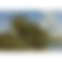 A Weedy Branch Of The Thames (preview)