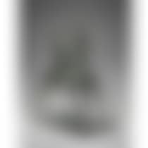 Cavaliere (preview)