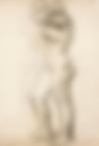 Nu de Profil. (preview)