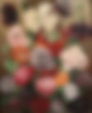 Poppies (preview)