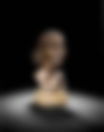 Portrait of an unknown woman (preview)