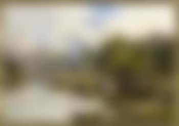 Cattle watering by a riverbank (preview)