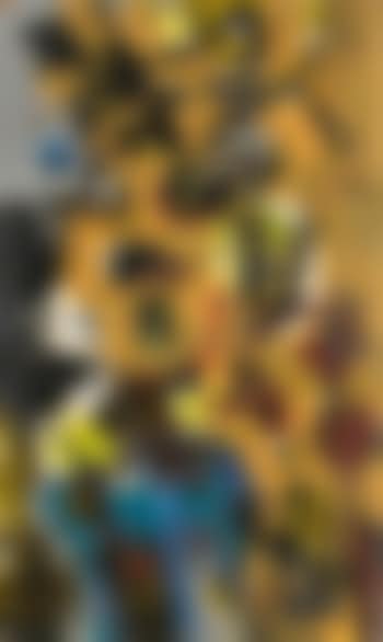 Littoral (preview)