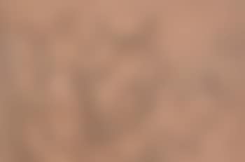 Nudes in a Boudoir (preview)