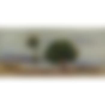 Paysage (preview)