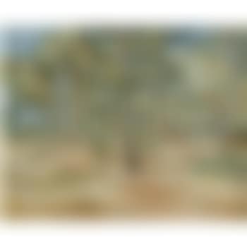 Fôret Aux Lecques (preview)