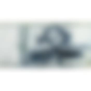 Buddha With Bamboo (preview)