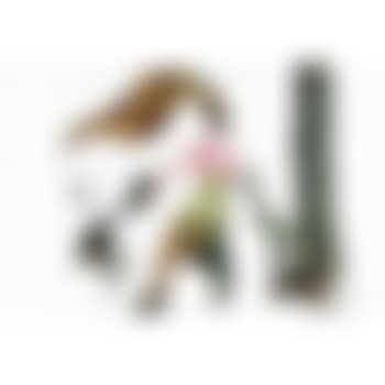 Untitled (preview)