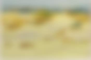 Landscape near Asciano (preview)