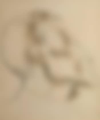 Head of an Indian (preview)