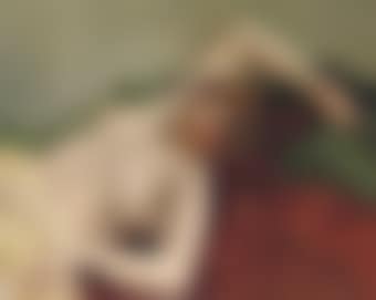 La Dormeuse (preview)
