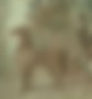 A coachman and two horses (preview)