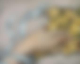 Main tenant une gerbe de fleurs (preview)