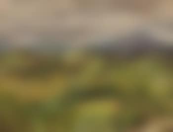 An Aberdeenshire landscape (preview)