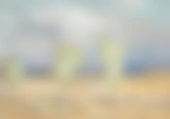 Three trees along a dusty road (preview)