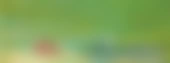 Springscape (preview)