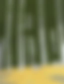 Poplars (preview)