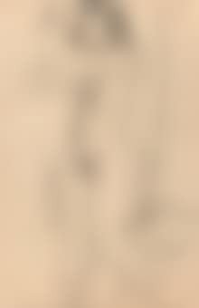 Beppie (recto); a sketch of a nude (verso) (preview)