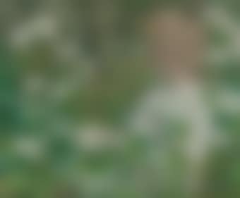 Du bist wie eine Blume! (preview)