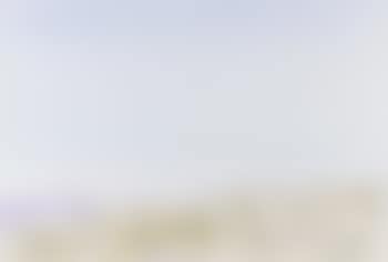 Landscape (preview)