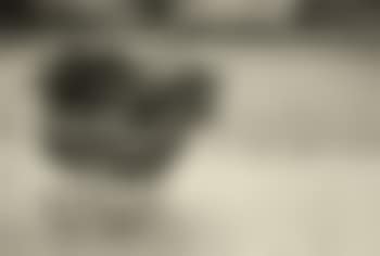 Baby carriage with plants (preview)