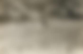 Pablo walking through field (preview)