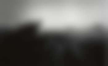Hunting dog (preview)