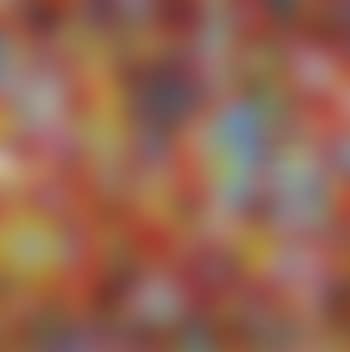 The Transparent Reflection of Reality (preview)